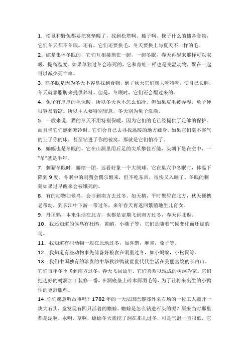 动物过冬趣闻