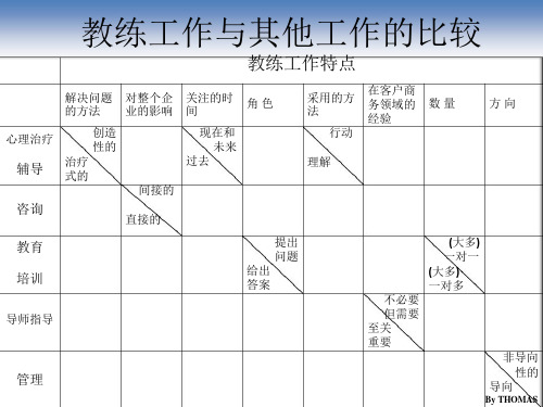 埃里克森教练工具PPT课件