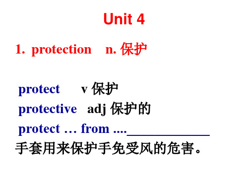 高中英语-unit 4 单词表词汇