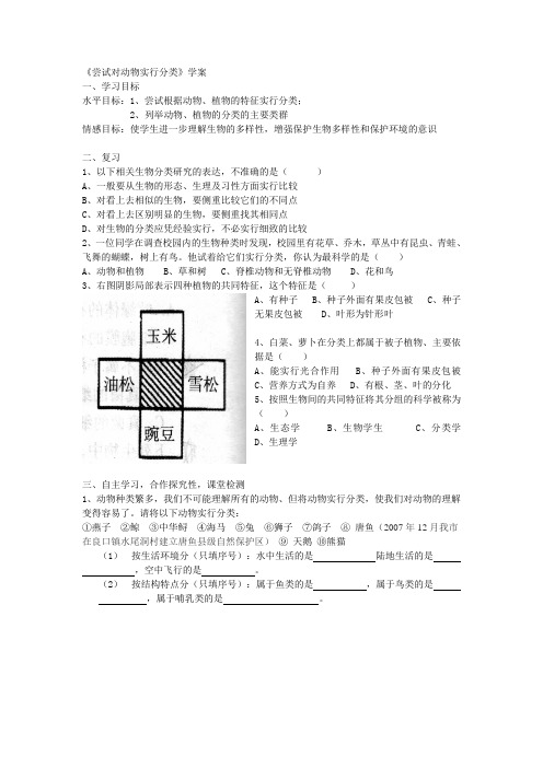 尝试对动物进行分类学案