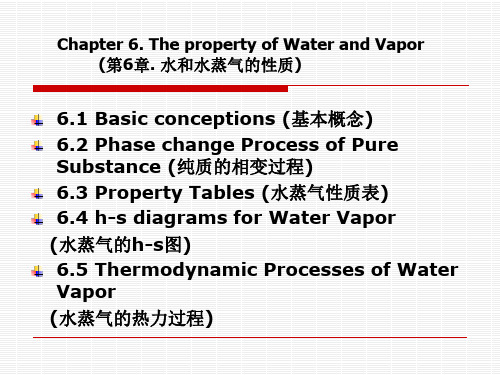 第六章 水和水蒸气的性质