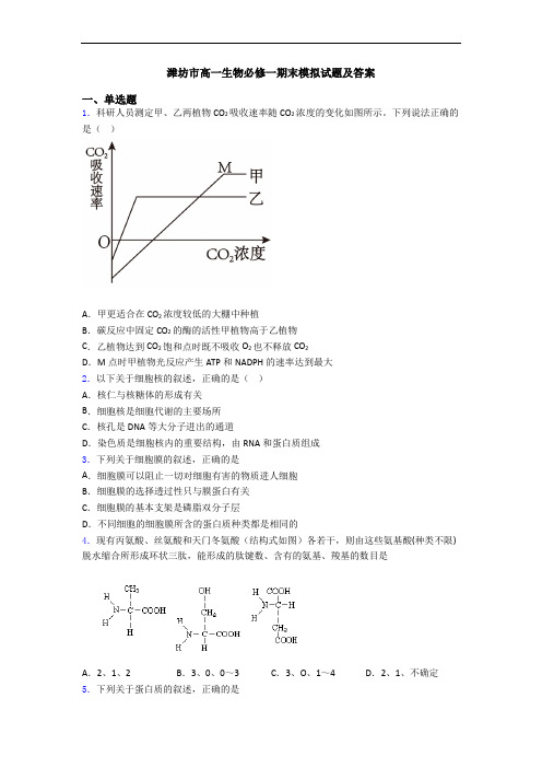 潍坊市高一生物必修一期末模拟试题及答案