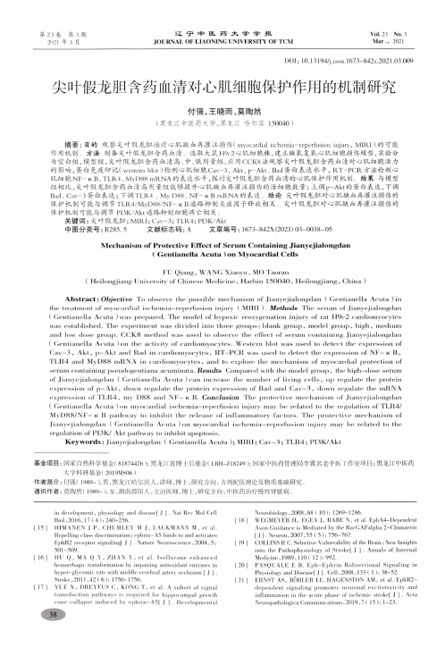 尖叶假龙胆含药血清对心肌细胞保护作用的机制研究