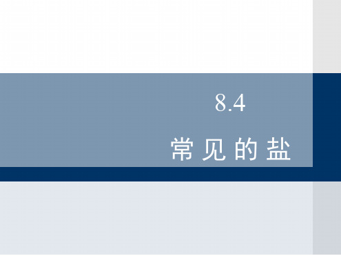 科粤版九年级下册化学常见的盐课件2共27张