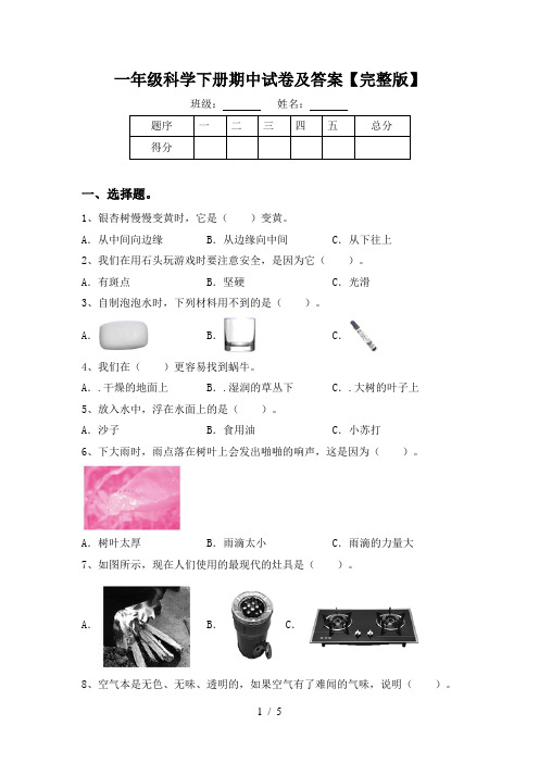 一年级科学下册期中试卷及答案【完整版】