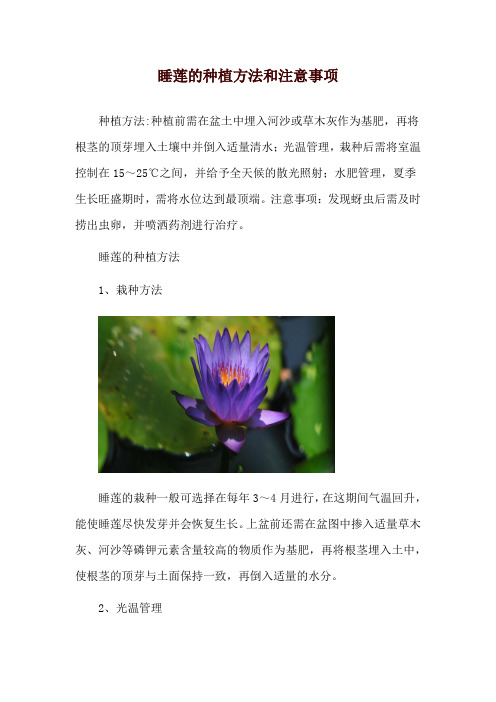 睡莲的种植方法和注意事项