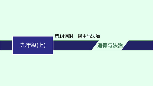 人教版初中道德与法治总复习第14课时民主与法治课件