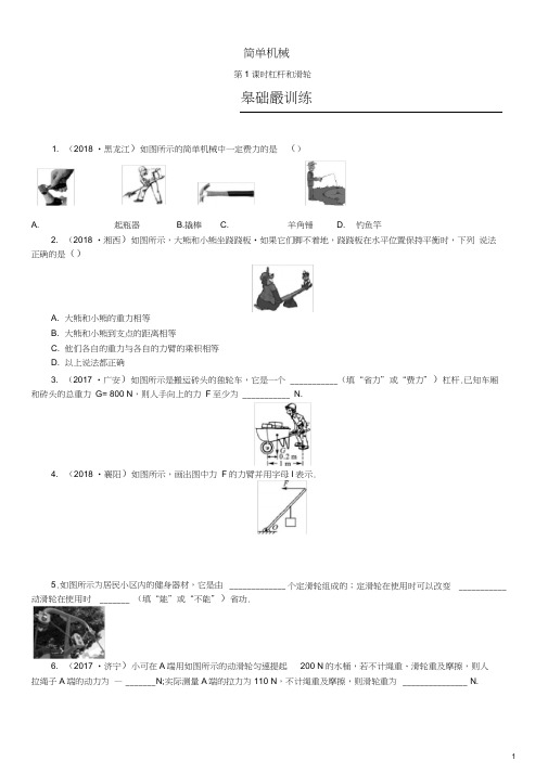 中考物理总复习第13讲简单机械第1课时杠杆和滑轮习题