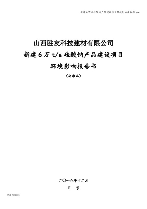 新建6万吨硅酸钠产品建设项目环境影响报告书.doc