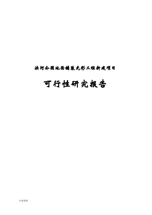 滨河公园地面铺装光彩工程建设项目可行性研究报告