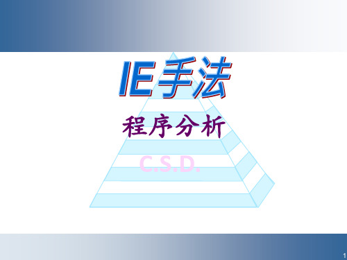 IE手法-程序分析