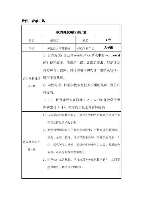 我的再发展行动计划