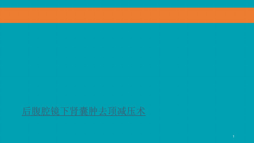 后腹腔镜下肾囊肿去顶减压术课件