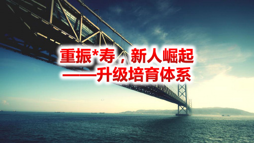 新人育成困扰难点理念方向目标力量工具整合职场训练要点含备注