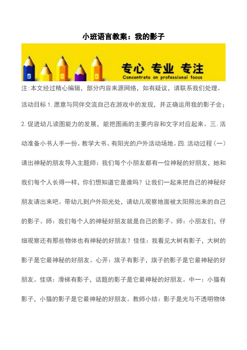 小班语言教案:我的影子【精品文档】