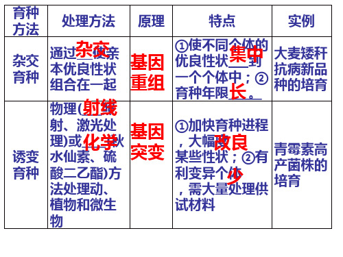 五种育种方法总结