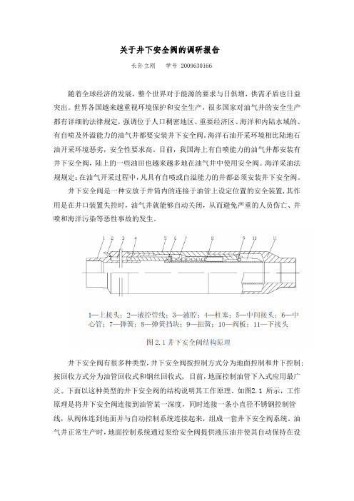 关于井下安全阀的调研报告