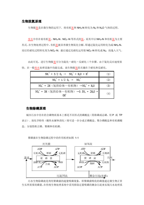 生物脱氮原理