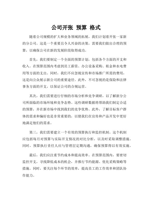 公司开张 预算 格式