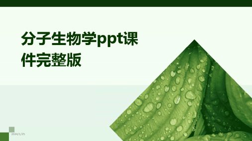 分子生物学ppt课件完整版