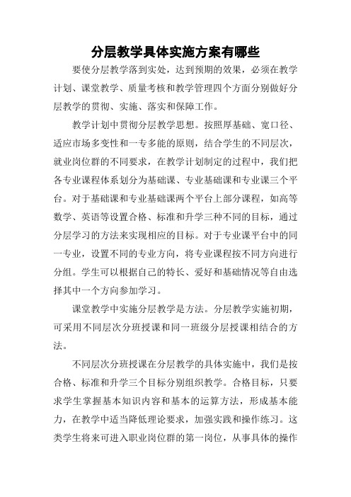 分层教学具体实施方案有哪些