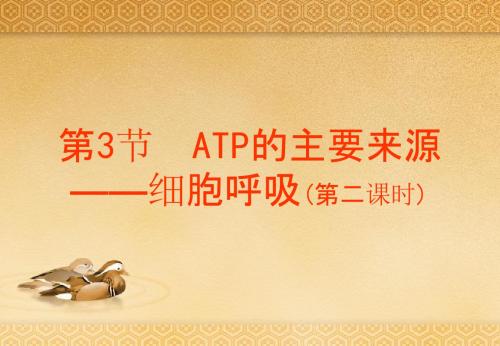 ATP的主要来源——细胞呼吸第2课时.ppt