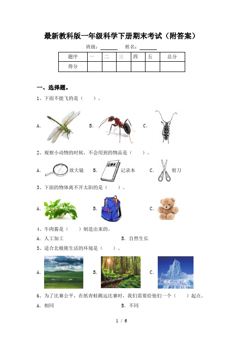 最新教科版一年级科学下册期末考试(附答案)