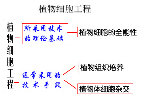 植物细胞工程