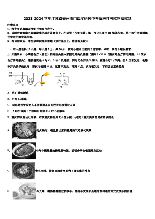 2023-2024学年江苏省泰州市口岸实验校中考适应性考试物理试题含解析