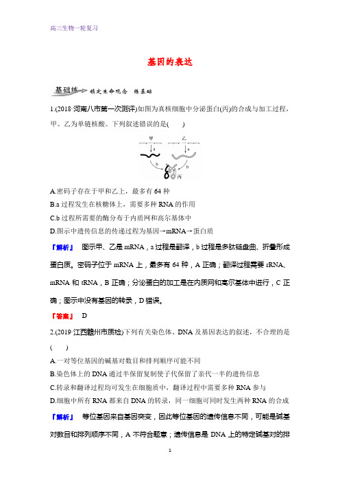 高三生物一轮复习课时作业13：基因的表达 练习