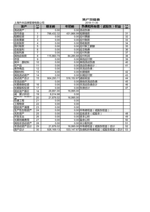 财务报表(2018.11)
