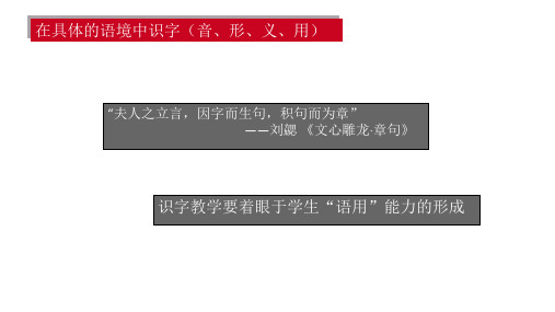 在具体的语境中识字(音、形、义、用)