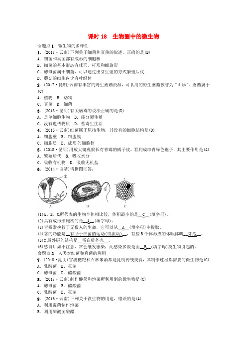 云南专版2019届中考生物教材考点梳理第18课时生物圈中的微生物(含答案)