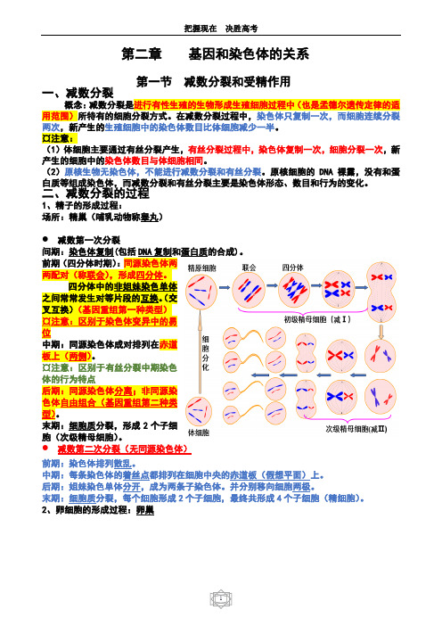 必修二  第二章基因和染色体的关系知识点总结