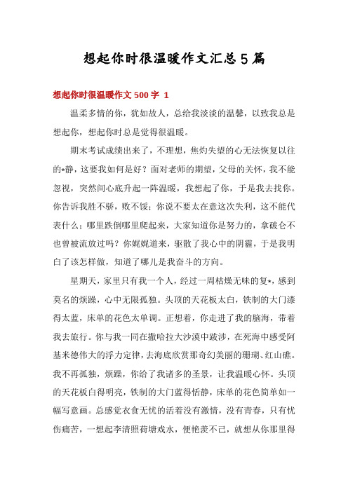 想起你时很温暖作文汇总5篇