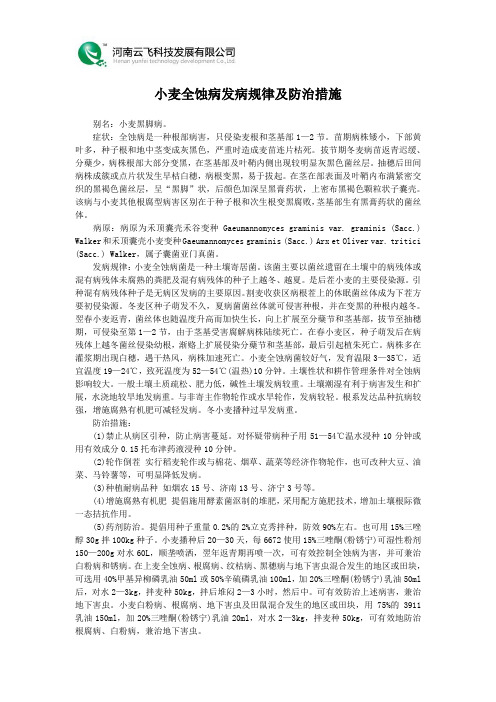 小麦全蚀病发病规律及防治措施