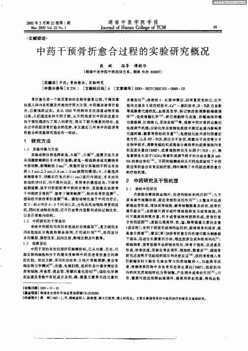 中药干预骨折愈合过程的实验研究概况