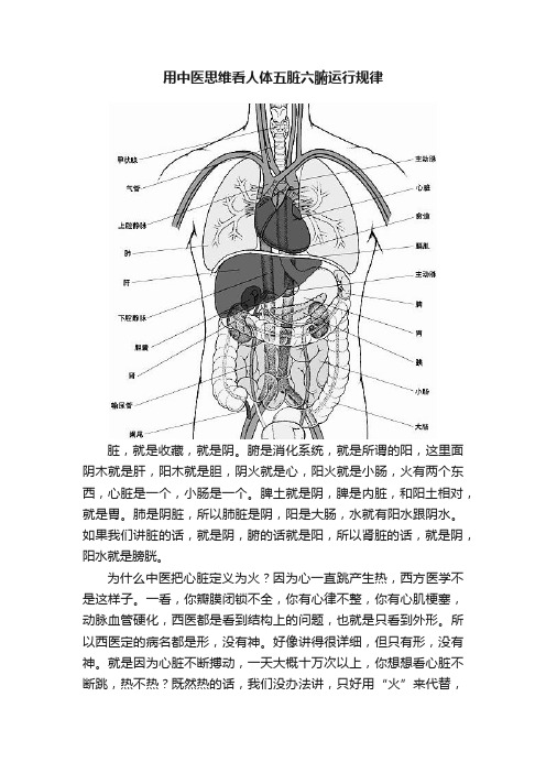 用中医思维看人体五脏六腑运行规律