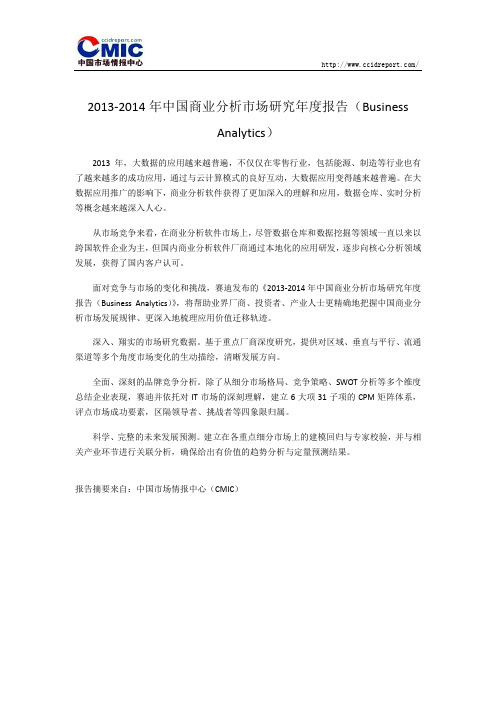 2013-2014年中国商业分析市场研究年度报告(Business Analytics)