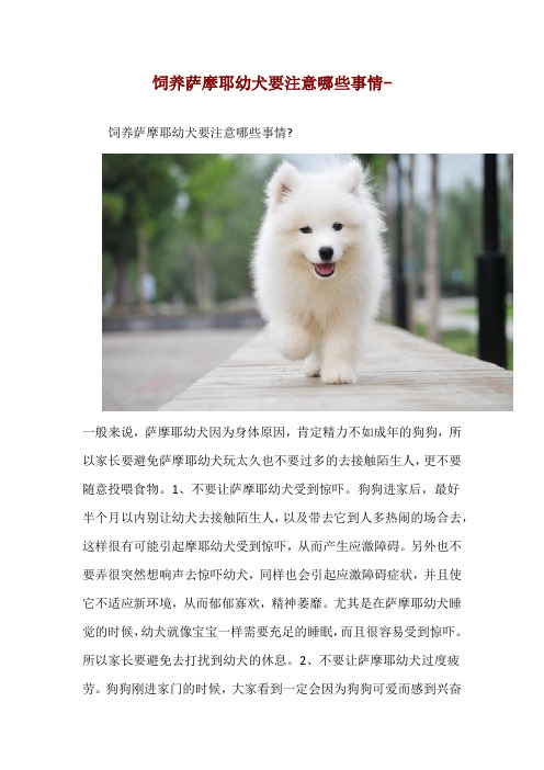 饲养萨摩耶幼犬要注意哪些事情-