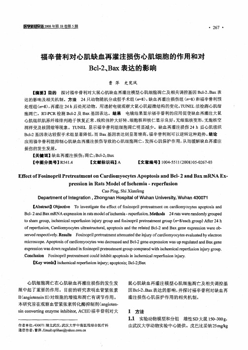 福辛普利对心肌缺血再灌注损伤心肌细胞的作用和对Bcl-2、Bax表达的影响