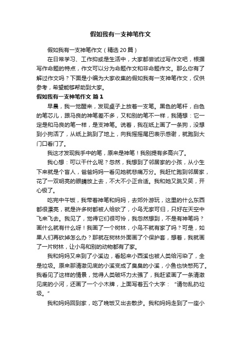 假如我有一支神笔作文（精选20篇）