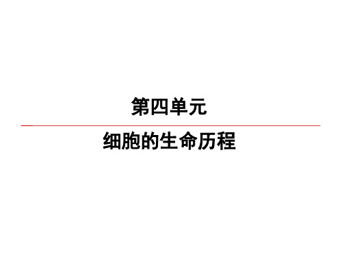 2020高考生物一轮复习课件:第4单元 第2讲 减数分裂和受精作用