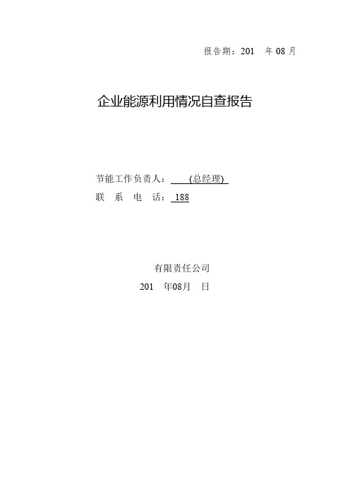 企业能源利用情况自查报告