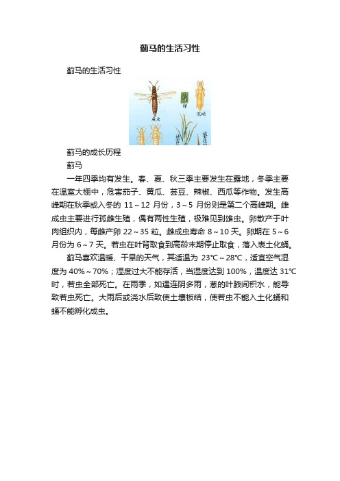 蓟马的生活习性