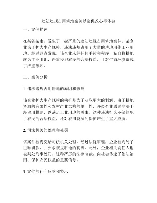 违法违规占用耕地案例以案促改心得体会