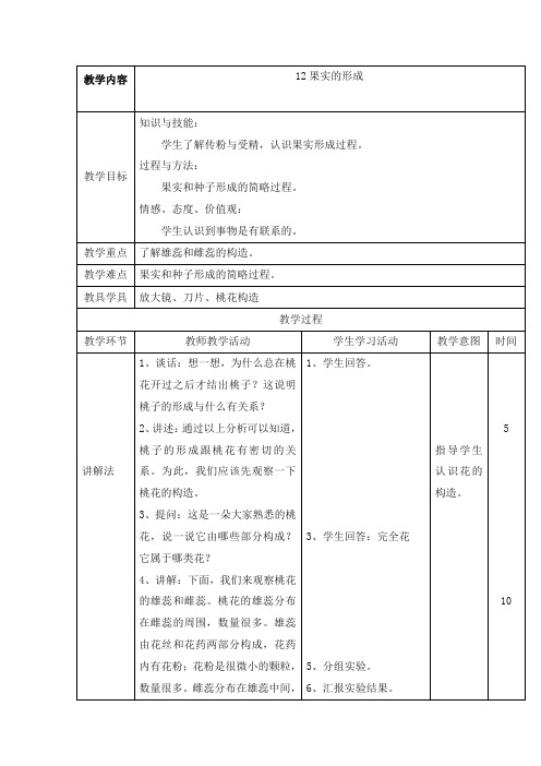 最新首师大版科学小学四年级下册12.果实的形成优质课教案