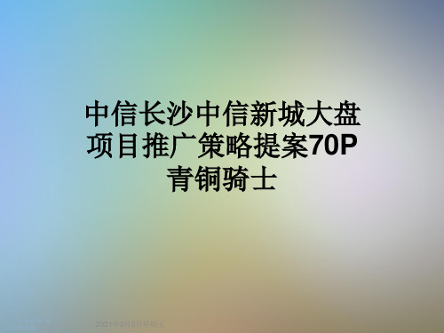 中信长沙中信新城大盘项目推广策略提案70P青铜骑士