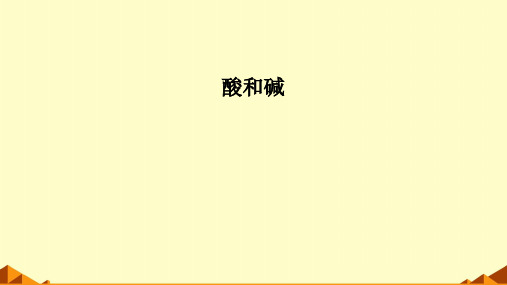 初中化学实验活动6 酸、碱的化学性质