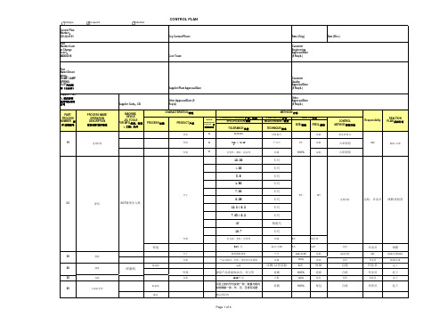 冲压控制计划_Control_Plan